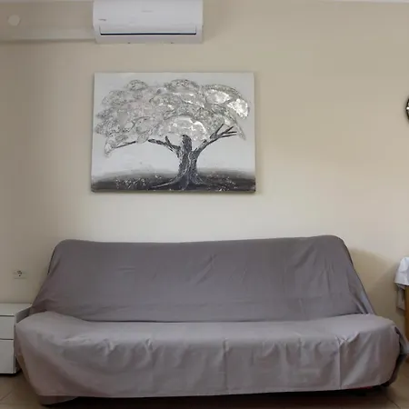 Apartment Spacious Sl Izola