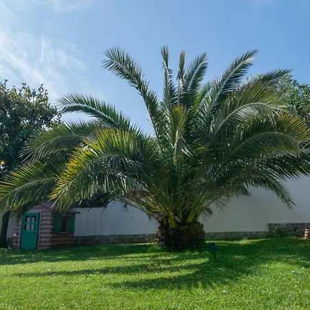 Prostorni In Udobni Apartmaji Sl - Spacious & Comfortable Sl