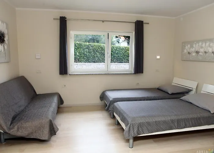 Spacious Sl 아파트